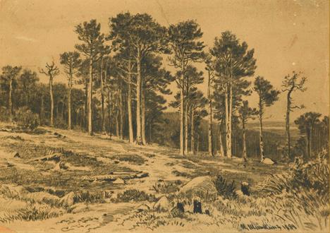 Ivan Ivanovich Shishkin Edge of a Pine Forest