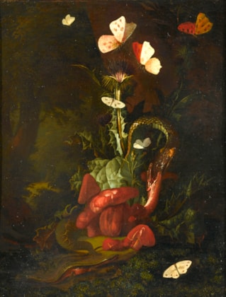 A Forest Floor Landscape with a Thistle, Fungi, Moths, a Lizard and Snakes