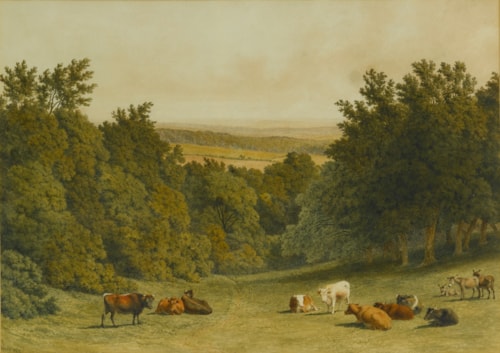 Near Box Hill, Surrey
